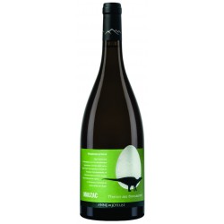 DINO RABDODON PRISCUS MAUZAC A DE JOYEUSE