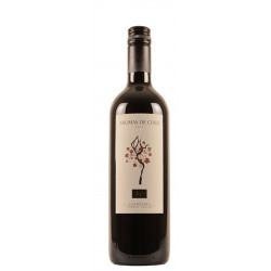 AROMAS DE CHILE CARMENERE
