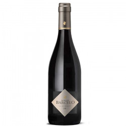 DOMAINE BARCELO ILE DE BEAUTE