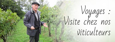 Visite chez nos viticulteurs